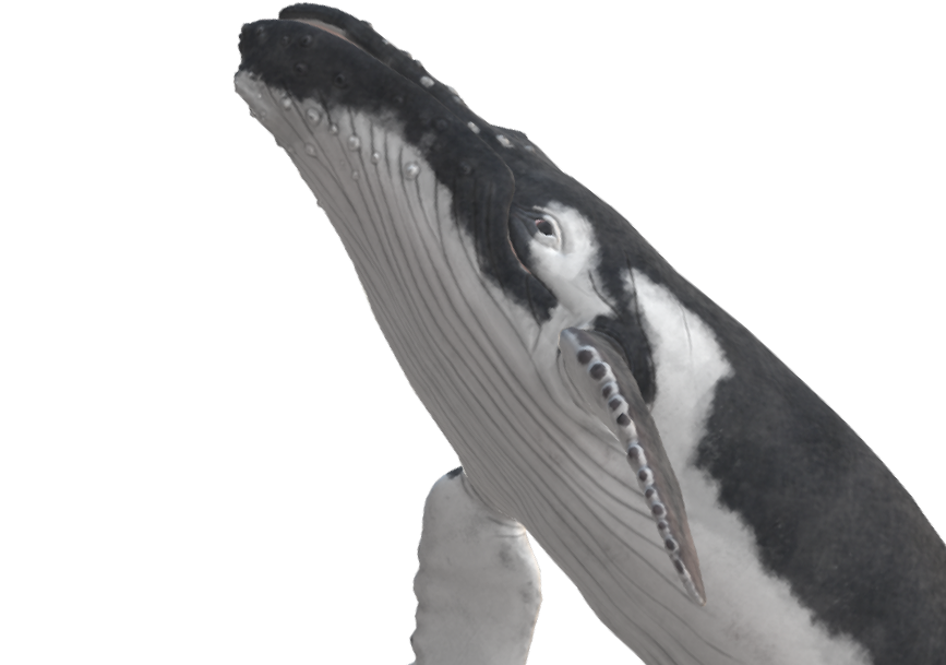 null